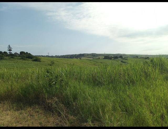 11.17M² FARM FOR SALE IN FAIRBREEZE